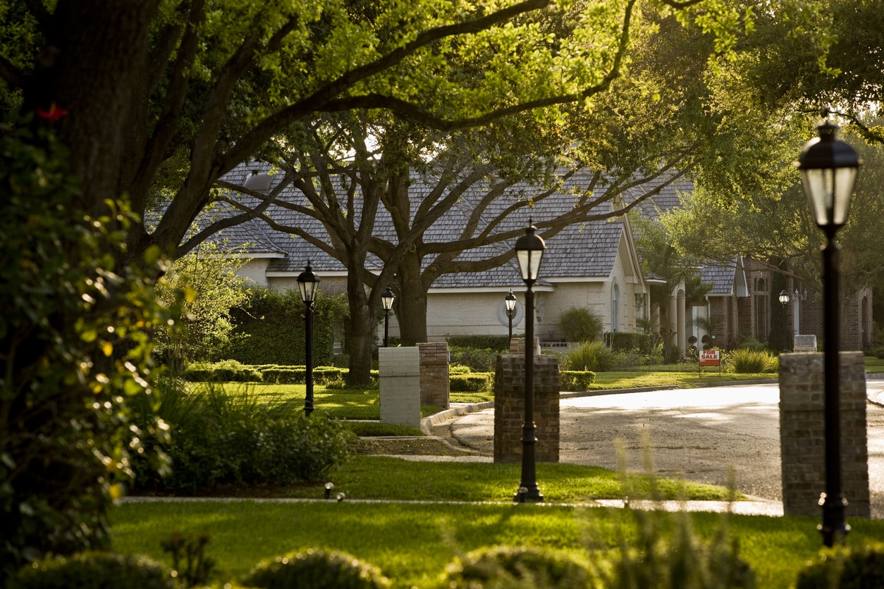 You are currently viewing The Benefits of Regular Tree Inspections for 2025