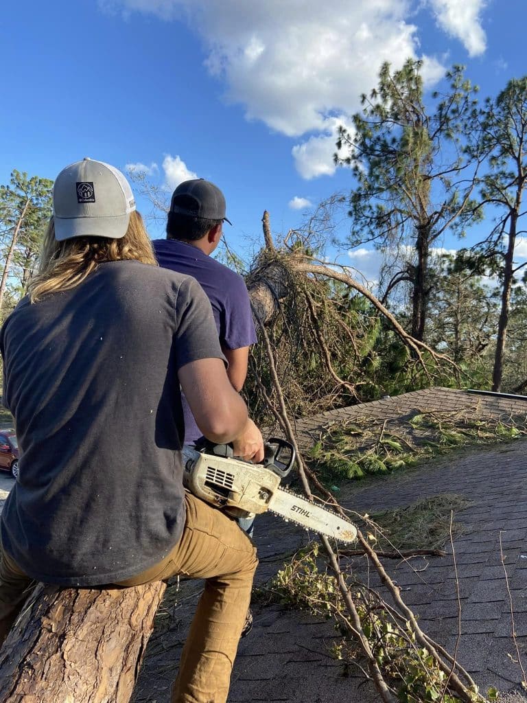 Tree Trimming 101: How Often Should You Trim Your Trees?